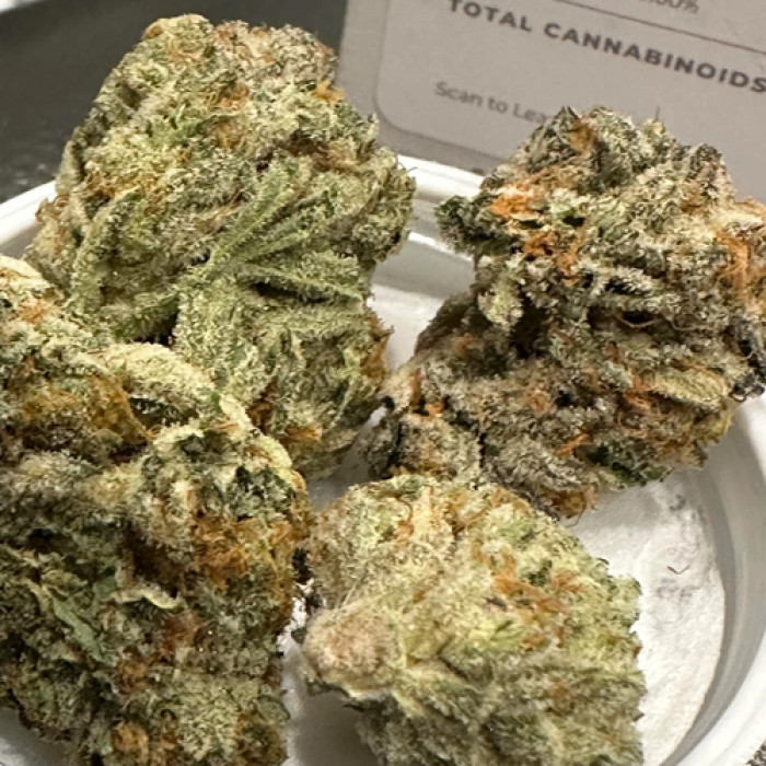 Buy White Widow Online