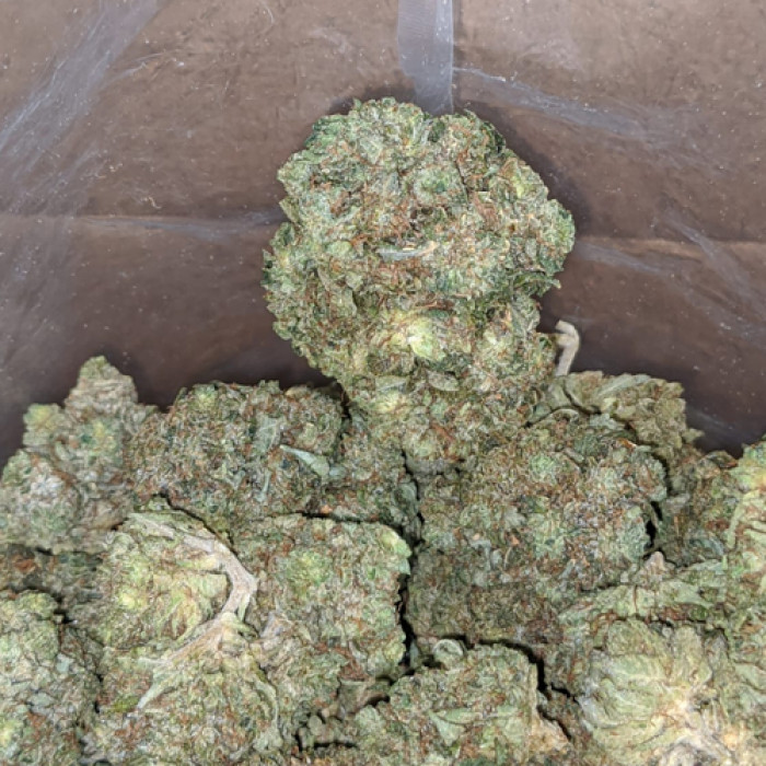 Buy Master Kush Online